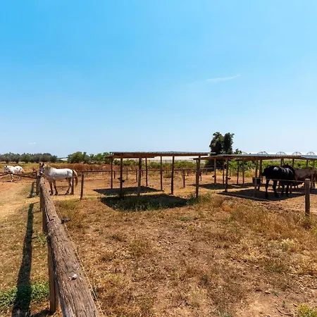 Сasa de vacaciones La Quercia Nardò