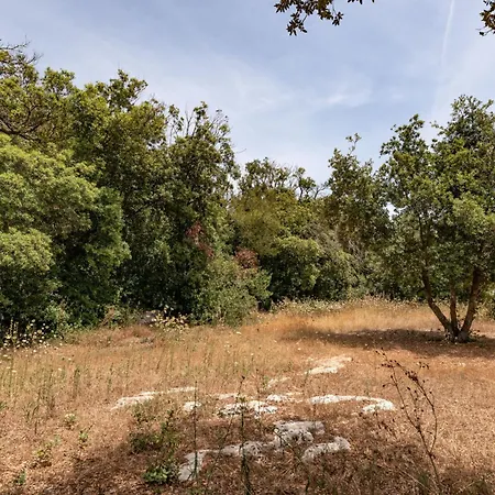 Appartamento La Quercia Gagliano del Capo